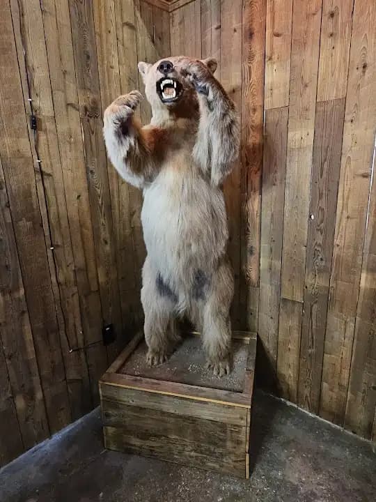 Axe-Mania - axe throwing in Houston - Top rated