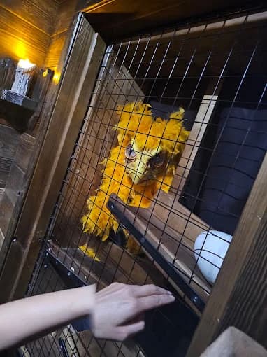 Lara's Labyrinth - Popular escape rooms destination in San Diego