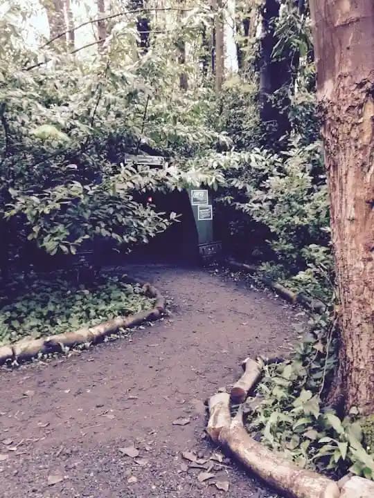 paintball experience at GO Action Forest - Paintballing / Laser Tag / Zorbing located in London