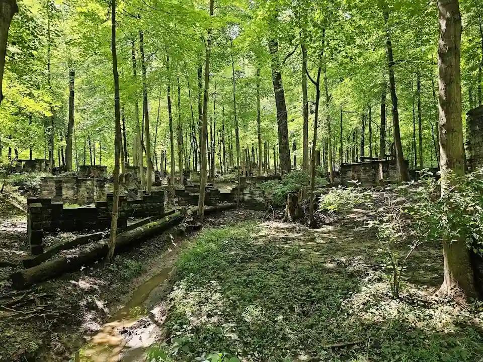 Photo of Sherwood Forest Paintball paintball activities in Chicago