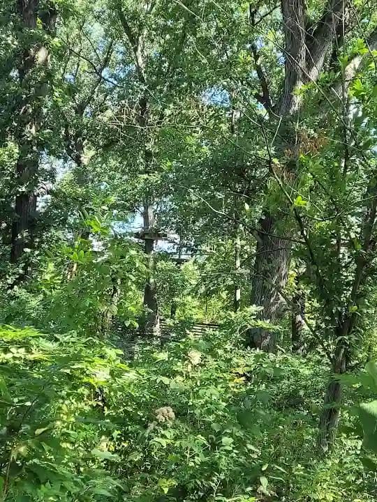 escape rooms experience at Go Ape Zipline and Adventure Park located in Chicago