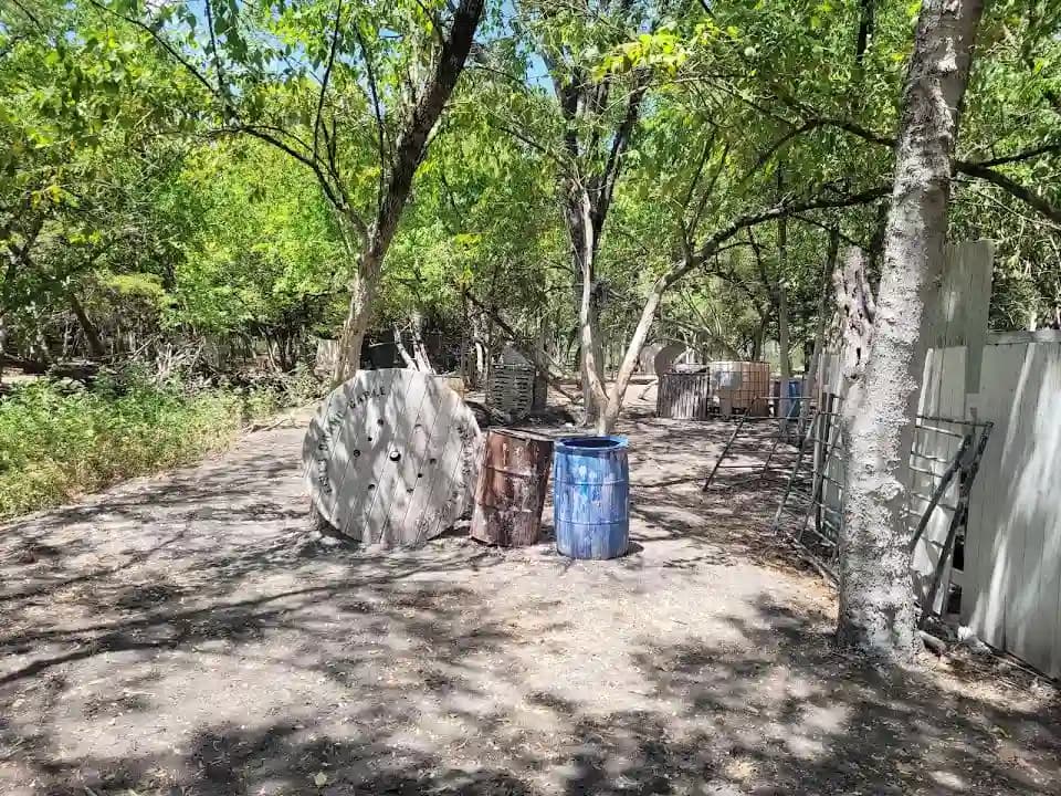 Photo of Madddogz Paintball paintball activities in Dallas