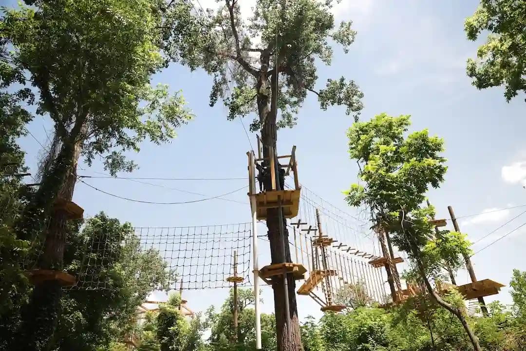 Photo of Go Ape Zipline and Adventure Park axe throwing activities in Houston