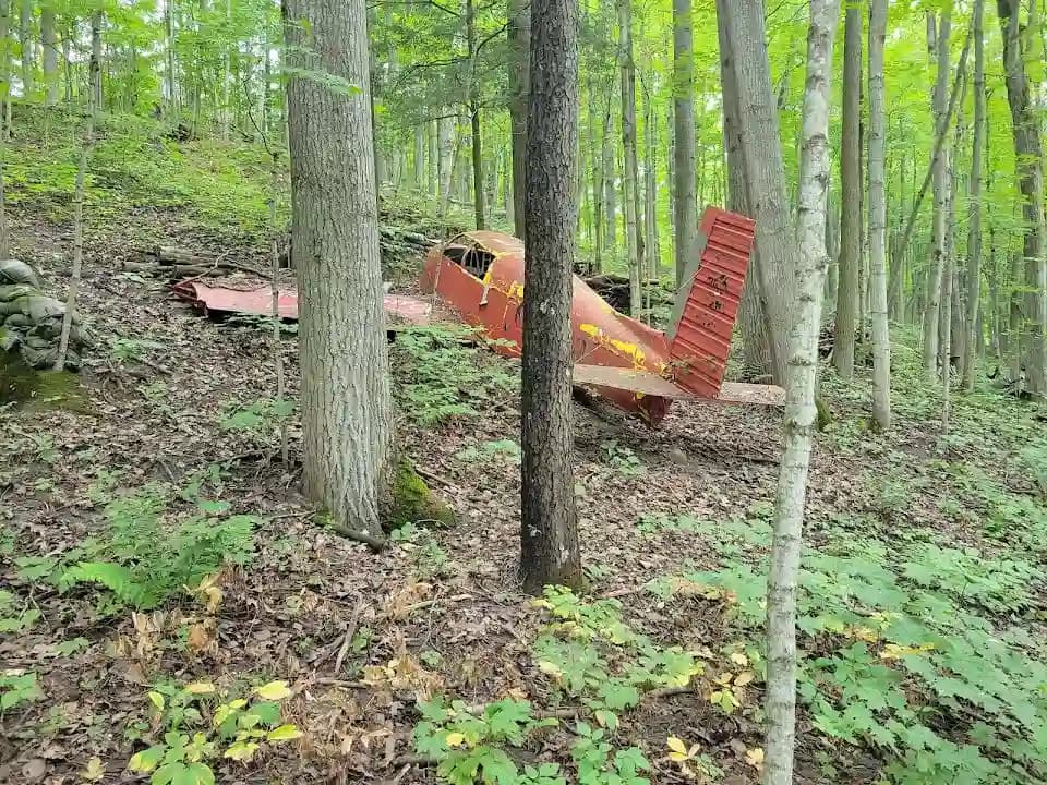 Photo of Barrie Paintball paintball activities in Toronto