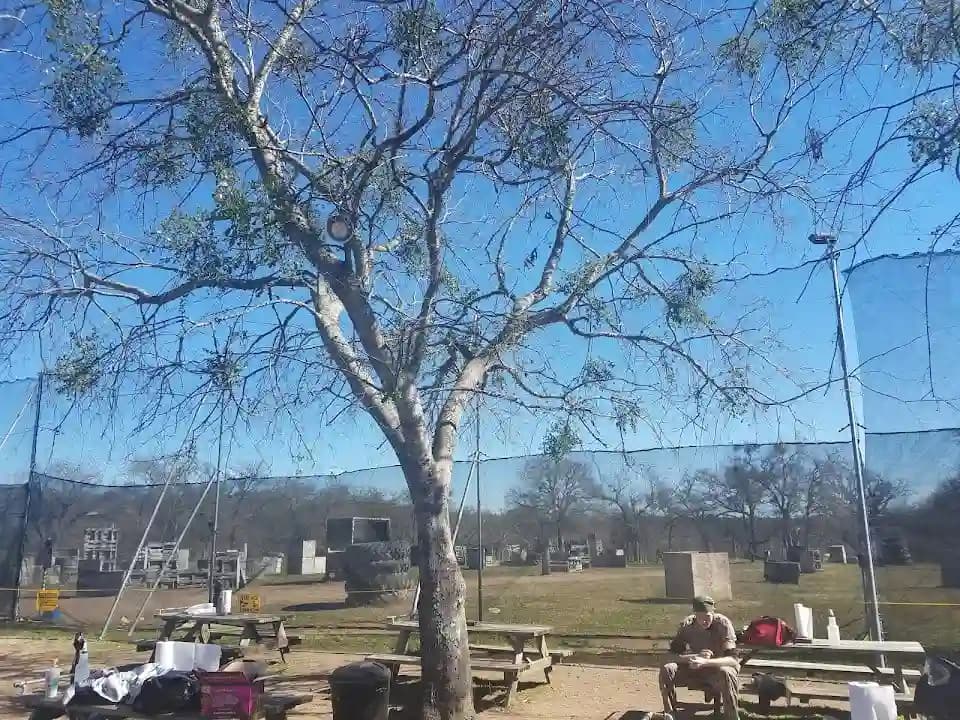 Photo of Xtreme Paintball paintball activities in Austin