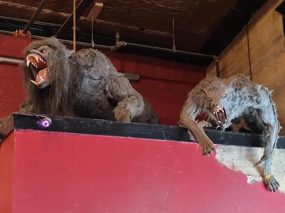 Interior view of Class Axe Throwing axe throwing facility in San Antonio