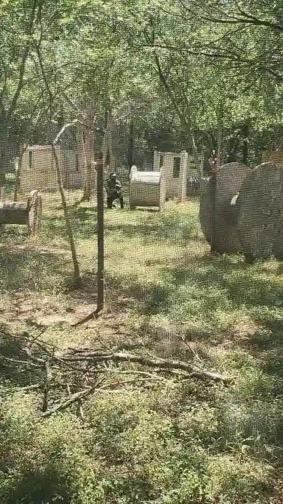 Charlie's Paintball - paintball in San Antonio - Top rated
