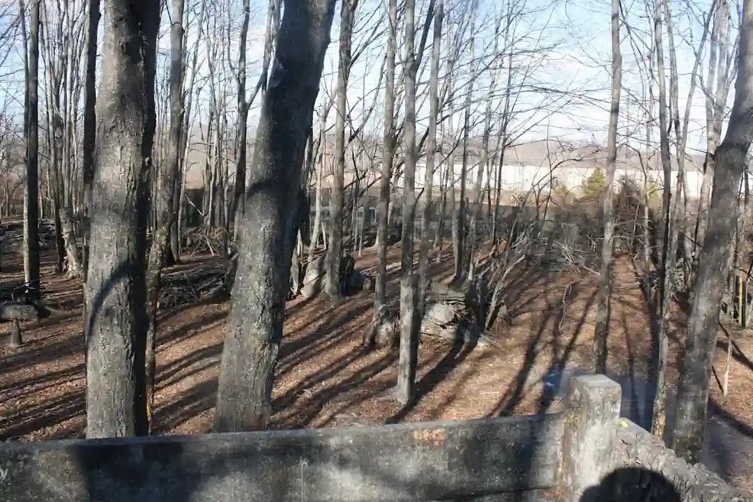 Crusader Paintball - Popular paintball destination in Philadelphia