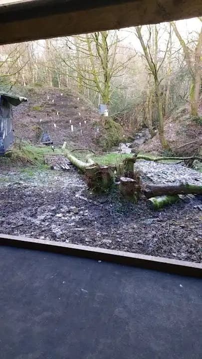 shooting ranges experience at Hey Lane Air rifle Range located in Leeds