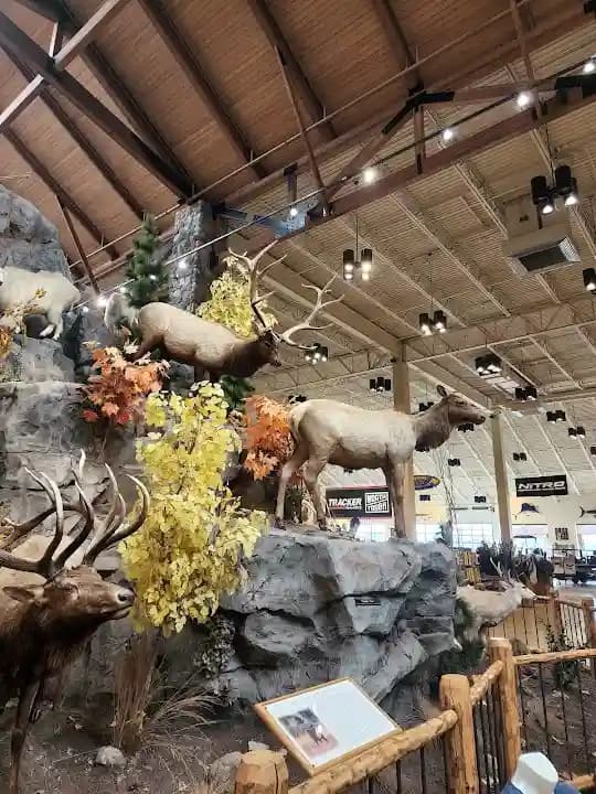 Interior view of Cabela's shooting ranges facility in Chicago
