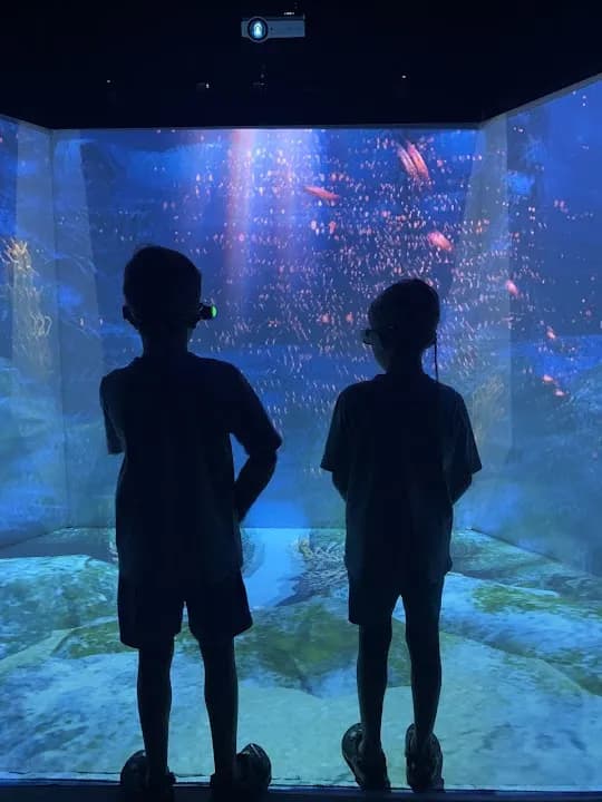 Interior view of Zoocade vr games facility in Austin