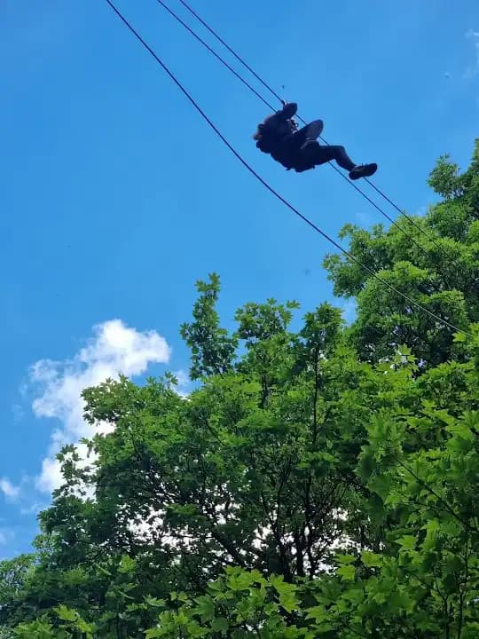 Go Ape Temple Newsam - axe throwing in Leeds - Top rated